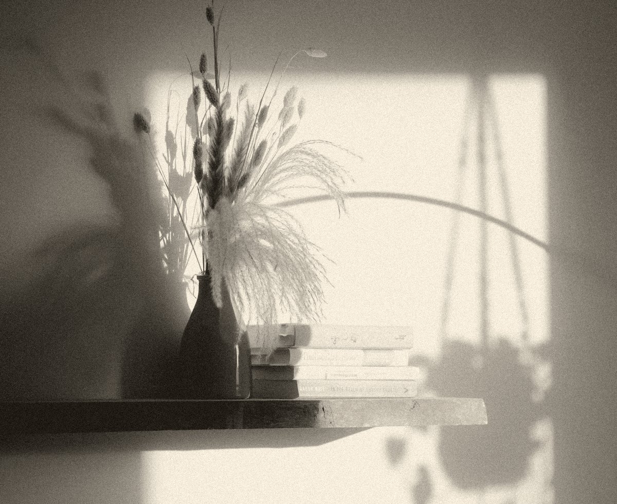 Warm sunlit shelf, calm interior